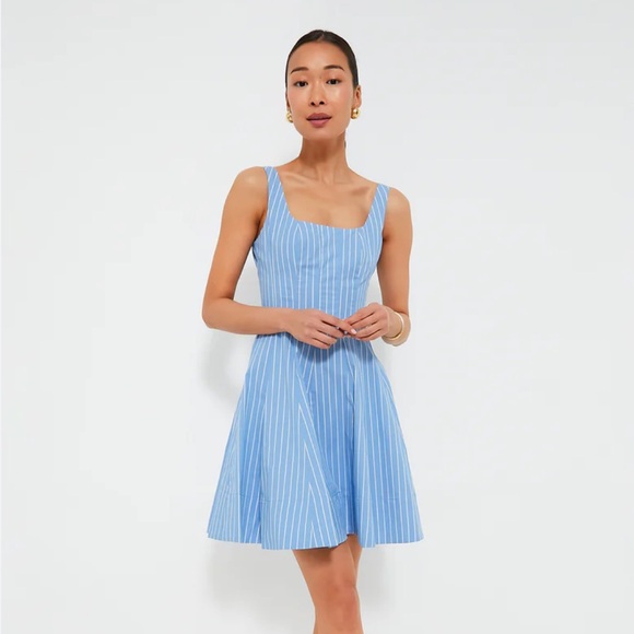 STAUD Dresses & Skirts - NWT Staud Mini Wells Dress in Azure Pinstripe